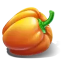 icon 5