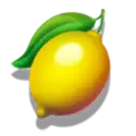 symbol 5