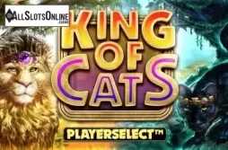 King of Cats