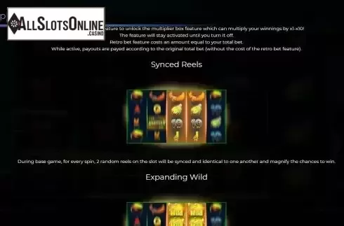 Synced reels feature screen