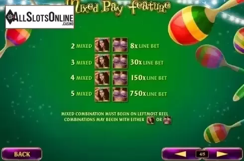 Paytable 4. Samba Brazil from Playtech