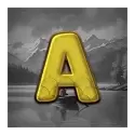 icon 6