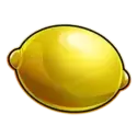 icon 5