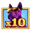 icon 11