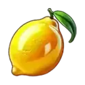 icon 4