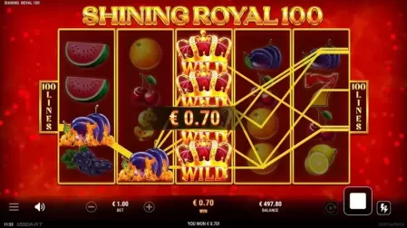 Shining Royal 100 slot screenshot 2