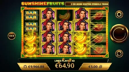 Sunshine Fruits slot screenshot 4