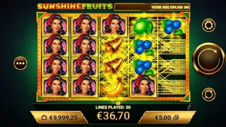 Sunshine Fruits slot screenshot 2