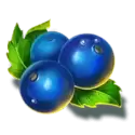 icon 10