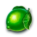 icon 13