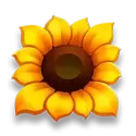 icon 1