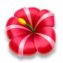 icon 2
