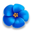 icon 4