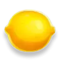icon 9