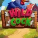 Wild Cock