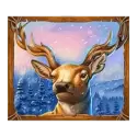 icon 4