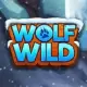 Wolf Wild