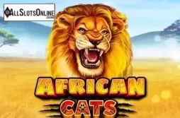 African Cats