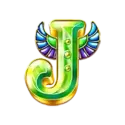 icon 9