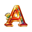 icon 6