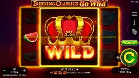 Burning Classics Go Wild slot screenshot 5