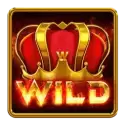 icon 1