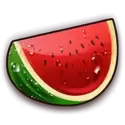 icon 5