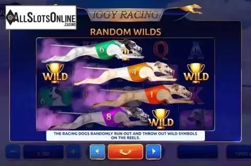 Feature Screen