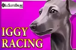 Iggy Racing