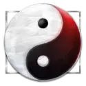 icon 1
