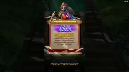 Ninja Vixens slot screenshot 3