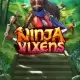 Ninja Vixens