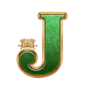 icon 8