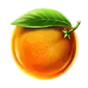 icon 6