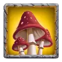 icon 6