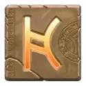 icon 9