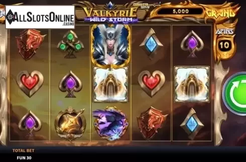 Reel Screen. Valkyrie Wild Storm from Boomerang Studios