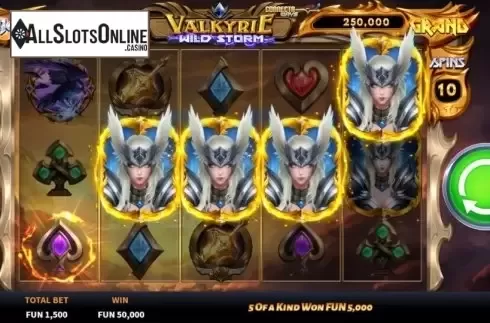 Win Screen 5. Valkyrie Wild Storm from Boomerang Studios