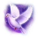 icon 4