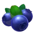 icon 9