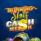 Burning Slots Cash Mesh