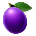 icon 10