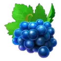 icon 4