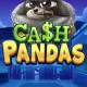 Cash Pandas