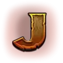 icon 13
