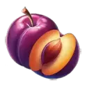 icon 10