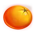 icon 5