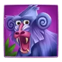 icon 2