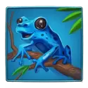 icon 5