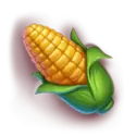 icon 6